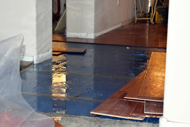 Professional Basement Flood Cleanup technician working in Leon, IA